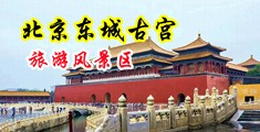 377美女掰穴套图中国北京-东城古宫旅游风景区